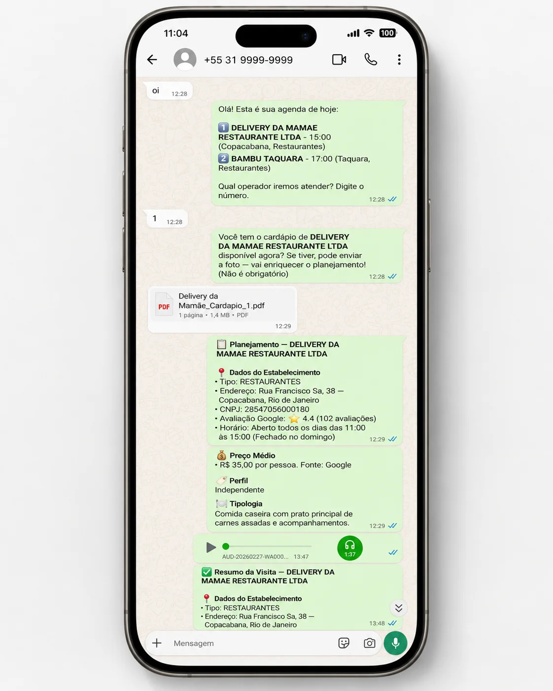Captura de tela do Copiloto Comercial no WhatsApp do consultor: agenda do dia, briefing em PDF do estabelecimento e planejamento de visita estruturado.